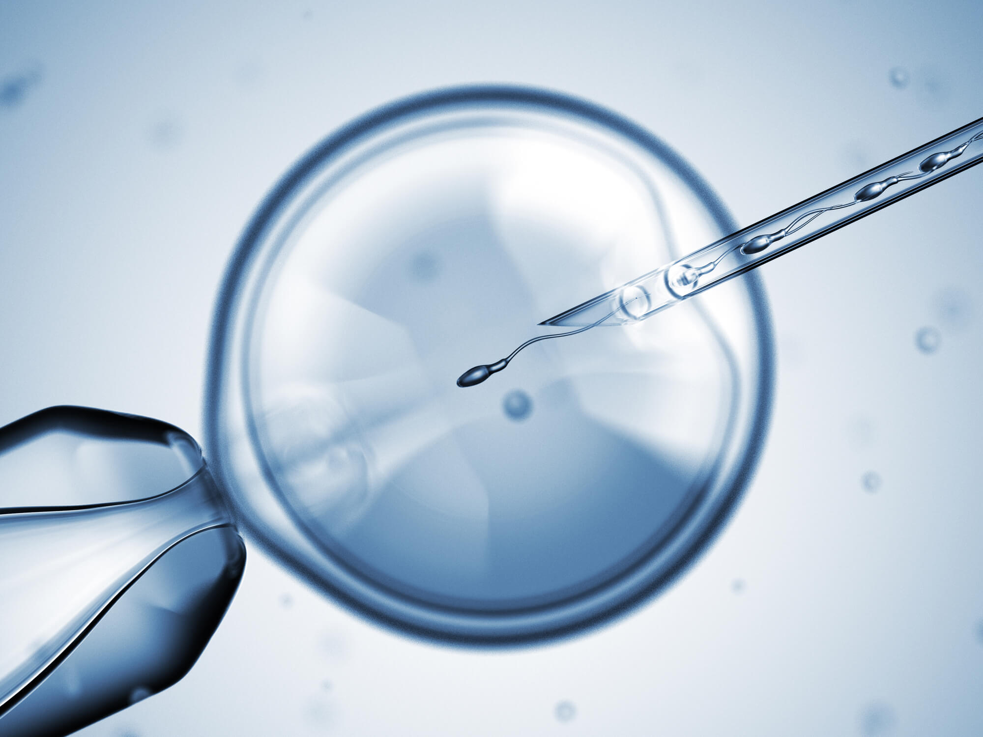 How Does IUI Work Artificial Insemination