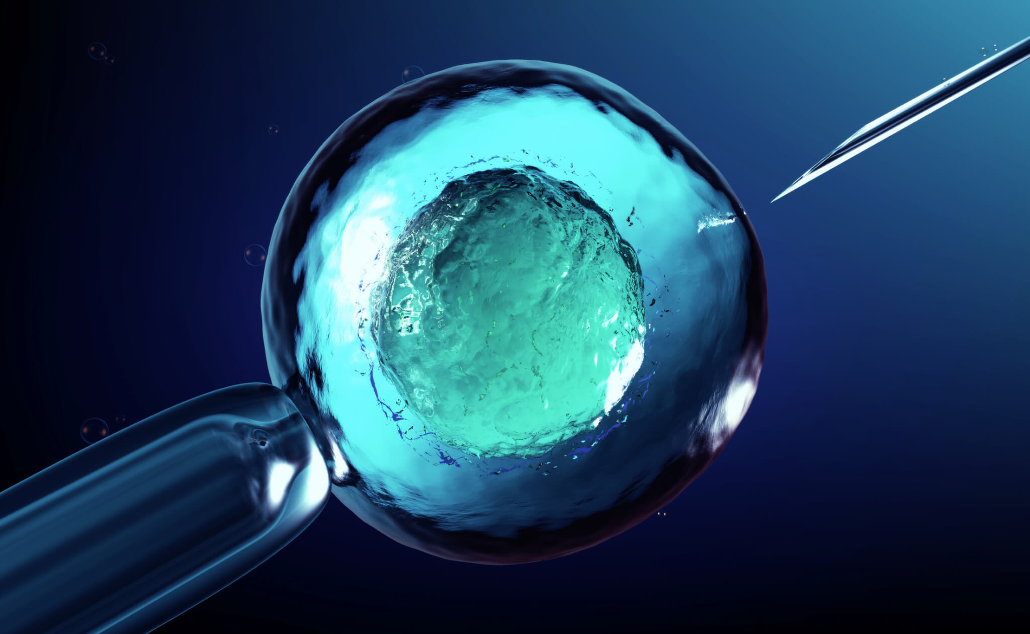 artificial insemination or IVF rendering