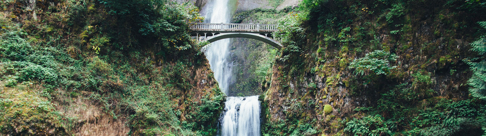 photo of multnomah falls