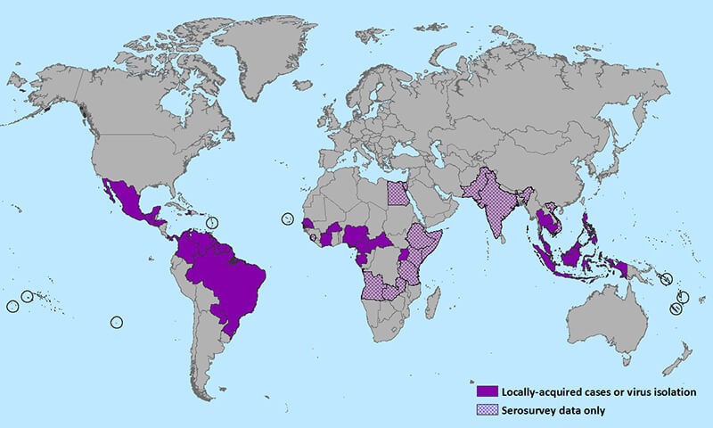 Zika Virus Map graphic