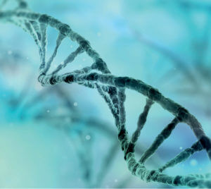 ORM Genomics Oregon Reproductive Medicine Genetic Testing