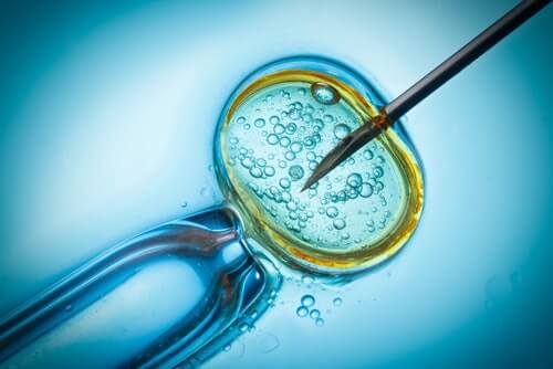 IVF Treatment - Needle Going Into An Egg Embryo