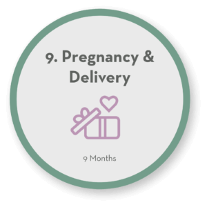 Step 9 Pregnancy & Delivery icon