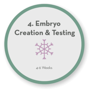 Step 4 Embryo Creation & Testing icon