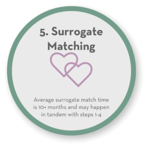 Step 5 Surrogate Matching icon