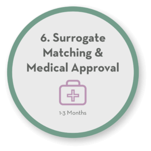 Step 6 Surrogate Medical Approval icon