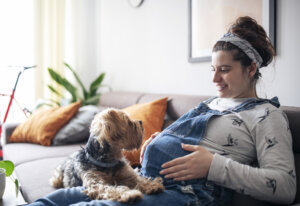 young pregnant woman sitting on couch after taking letrozole for fertility