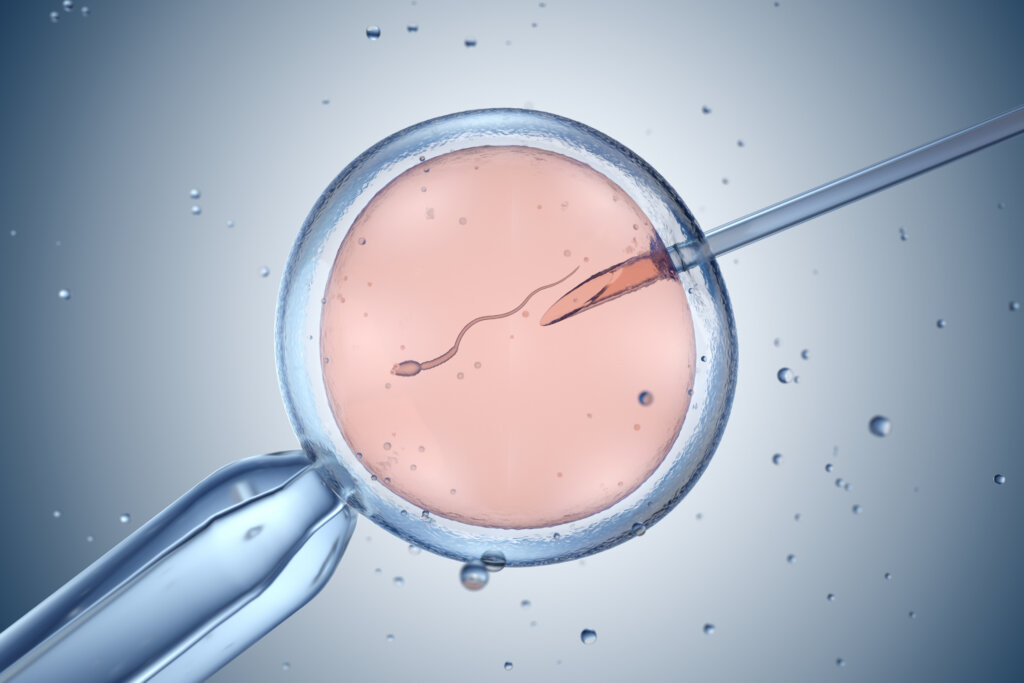 IVF cycles 